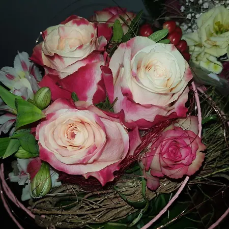 & Zum Saalestrand 3* Bad Dürrenberg