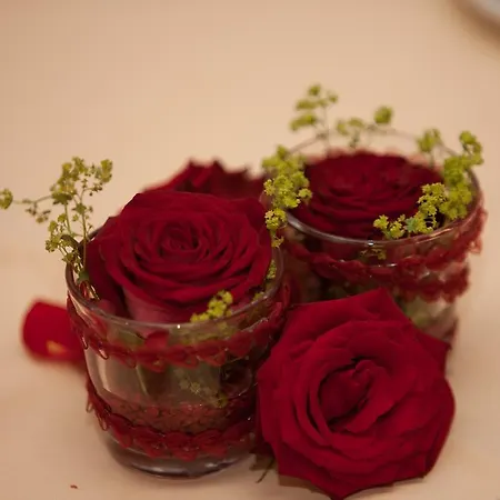 & Zum Saalestrand 3*