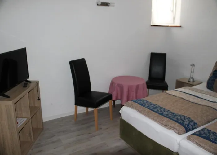 Πανσιόν & Zum Saalestrand 3*