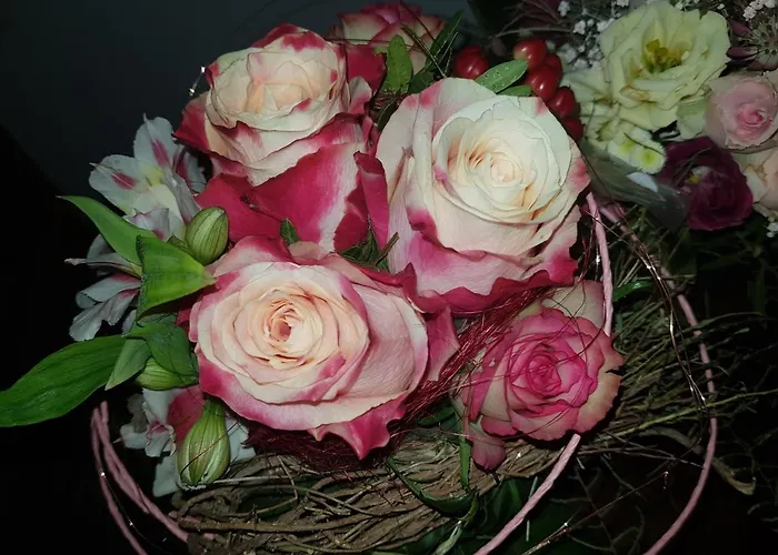 Gasthof&pension Zum Saalestrand 3* Bad Dürrenberg