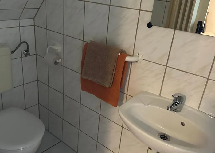 Gasthof&pension Zum Saalestrand Gasthof 3*