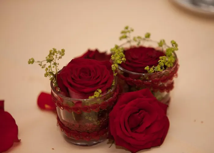 & Zum Saalestrand 3*